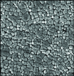 Microstructure